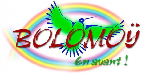 Association Bolomoy